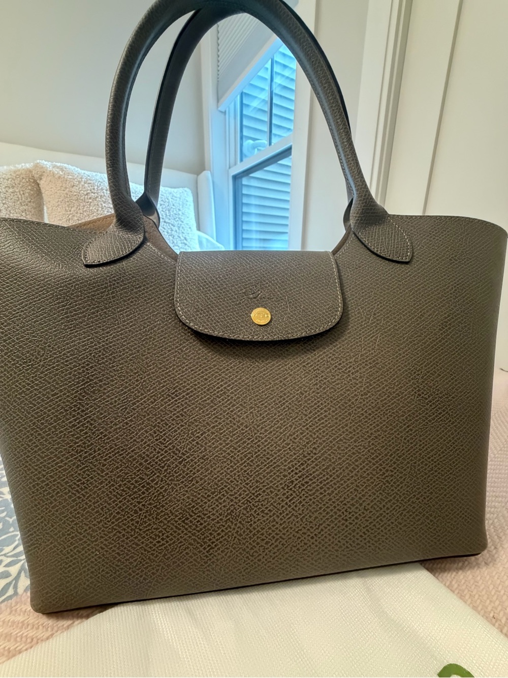 NWT LONGCHAMP ÉPURE L SHOULDER BAG - TURTLEDOVE 100% LEATHER - Picture 2 of 13